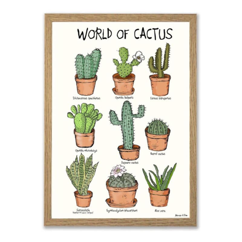 World of Cactus plakat på hvid baggrund, med titen øverst i toppen. Oversigt med 9 forskellige slags kaktusser, tegnet i en skæv og charmerende streg. I grønlige og orange nuancer.