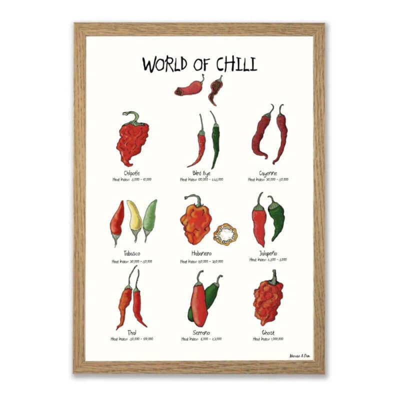 World of Chili plakat på hvid baggrund, med titlen øverst. Oversigt med 9 forskellige slags chili, med heat-index noteret under hver enkelt. Chilierne er tegnet i en skæv og charmerende streg, i rødlige og grønlige nuancer.
