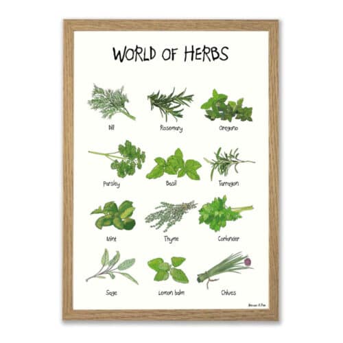 World of Herbs plakat på hvid baggrund og med titel i toppen. På plakaten er der 12 forskellige krydderurter på i grønne nuancer. Tegnet i en skæv og charmerende streg.