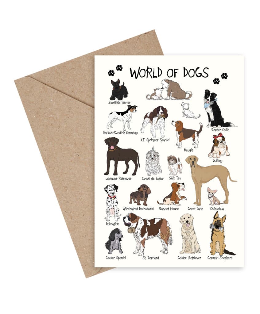 Kort med håndtegnede illustrationer af forskellige hunderacer.