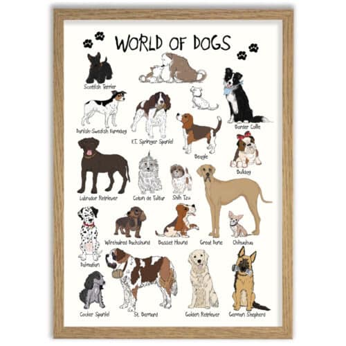 Flot håndtegnet plakat med forskellige illustrationer af hunderacer.