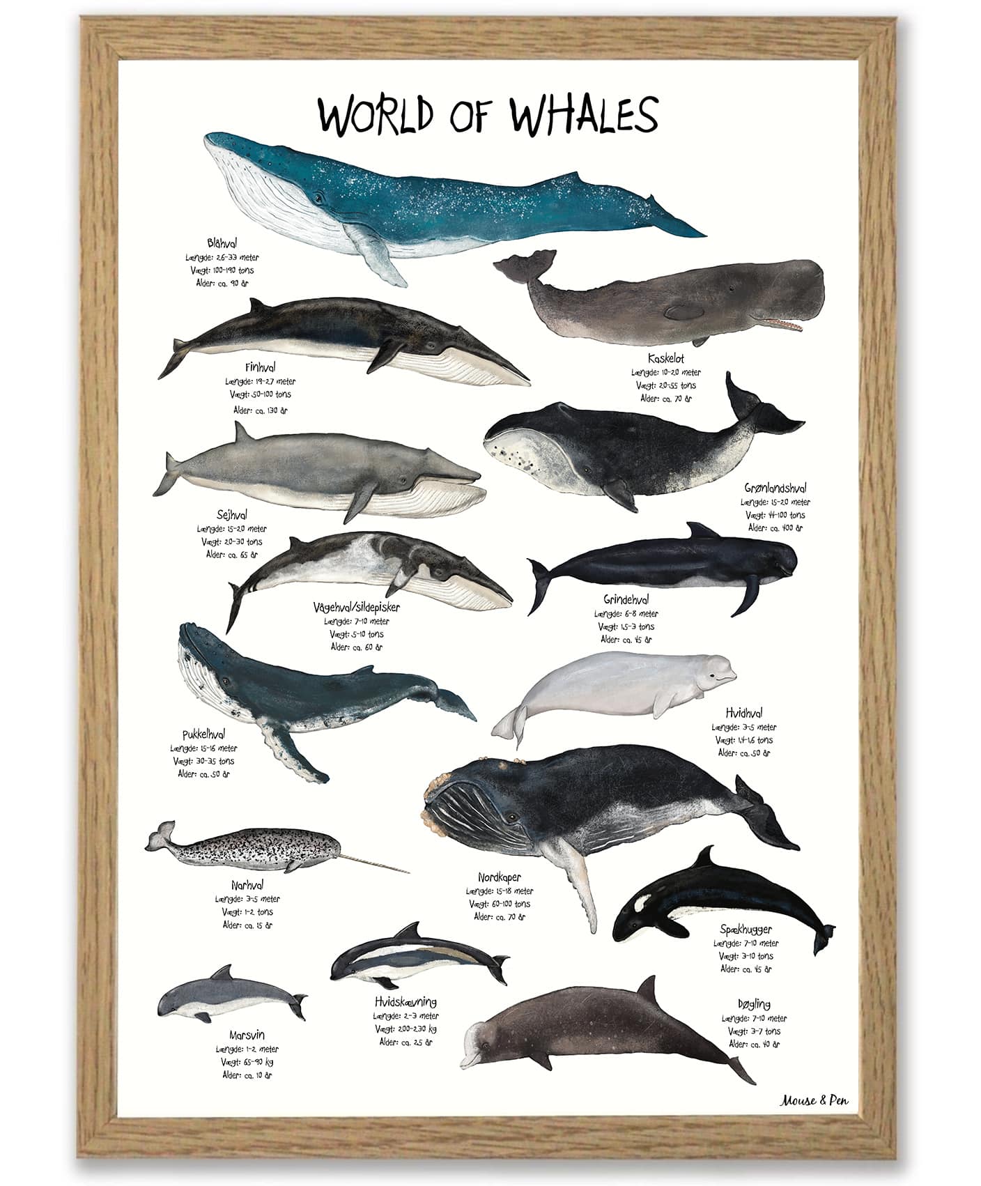 Whales plakat